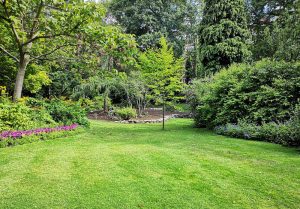 Optimiser l'expérience du jardin à Chatignonville